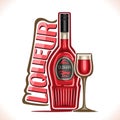 Vector illustration of alcohol drink fruit Liqueur