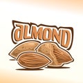 Vector illustration of almond