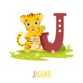 Vector Illustration Of Alphabet Letter J And Jaguar