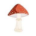 Vector illustration of Amanita mushroom. Poisonous toadstool fly agaric. White spotted red mushroom isolated on white Royalty Free Stock Photo