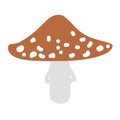 Vector illustration of Amanita mushroom. Poisonous toadstool fly agaric. White spotted red mushroom isolated on white Royalty Free Stock Photo