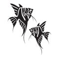 vector illustration of angelfish silhouette design. aquarium decorative fish icon. Royalty Free Stock Photo