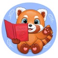 Cute cartoon red panda is reading a red book. Royalty Free Stock Photo