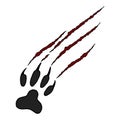 Vector illustration animal footprint and scratches on white background. Cat`s scratched paw Royalty Free Stock Photo