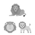 Vector design of animal and jungle logo. Collection of animal and funny vector icon for stock.