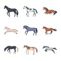 Vector design of animal and stallion sign. Collection of animal and farm vector icon for stock. Royalty Free Stock Photo