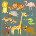 Vector illustration of animal. Zoo cute animals. Royalty Free Stock Photo