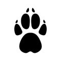 Vector illustration of animals footprints on white background