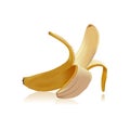 Vector illustration appetizing and delicious banana.