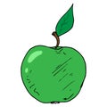Green apple icon. Vector illustration of an apple. Hand drawn Royalty Free Stock Photo