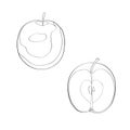 Vector illustration. Apple, sliced apple, half apple. Black line, outline. Royalty Free Stock Photo