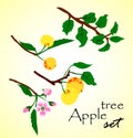Vector illustration of apple tree set