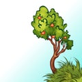 Vector illustration of apple tree Royalty Free Stock Photo