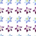 Vector illustration of aquilegia flowers of different colors Vector collection of colored aquilegia