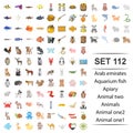 Vector illustration of arab, emirates, aquarium, fish apiary animal icon set. Royalty Free Stock Photo