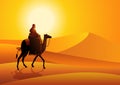 Arab man riding camel in the hot desert Royalty Free Stock Photo