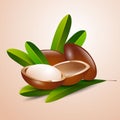 Vector illustration argan tree branch