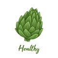 Vector illustration of artichoke with lettering. Colorful sketch of cabbage healthy vegetables with inscription. Natural food