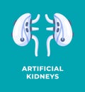 Vector illustration of artificial kidneys isolated on a blue background.