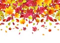 Vector illustration of autumn border background with falling leaves Royalty Free Stock Photo