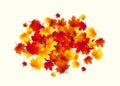 Vector illustration of autumn circle round background with falling leaves maple