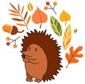 Vector illustration autumn hedgehog, leaves, berries