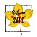 Vector illustration, Autumn maple leaf . Text sale Autumn. Templates for placards, banners, flyers, presentations