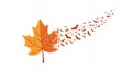 Autumn Maple Leaf Disintegrating into a Swarm of Flying Bats Royalty Free Stock Photo