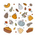 Vector illustration of autumn pumpkins and elements on a white isolated background in cartoon style Royalty Free Stock Photo