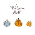 Vector illustration of autumn pumpkins on a white isolated background in cartoon style Royalty Free Stock Photo