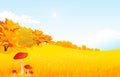 Vector illustration autumn rural landscape with Royalty Free Stock Photo