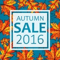 Vector illustration of Autumn sale, seasonal banner design