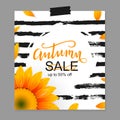 Vector illustration, Autumn sale tag design with autumn sunflower Royalty Free Stock Photo