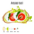 Vector illustration avocado hummus toasts with tomatoes, mozzarella