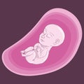 Baby in fetal position icon. Vector illustration of baby fetus. Hand drawn baby in fetal position