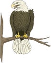 Eagle Perched on Branch Illustration Royalty Free Stock Photo