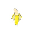 Vector illustration, banan, fruit, appetite, drawing on a white background. Sketch, sticker.