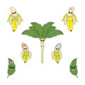 Vector illustration, banan, fruit, appetite, Drawing on a white background. Sketch, stiker.