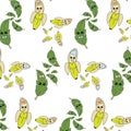 Vector illustration, banan, fruit, appetite, Drawing on a white background. Sketch, stiker.