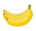 Vector illustration of banana bunch, tropical yellow fruit. Cartoon flat style Royalty Free Stock Photo