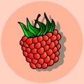 Vector illustration, banner, postcard image of a raspberry with a shadow on a pink background