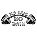 Vector illustration barbell and `No pain - no gain` inspirational lettering Royalty Free Stock Photo