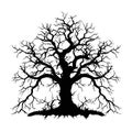 Vector illustration. Bare tree silhouette without barren leaves dead no scary black life. Hand drawn. Isolated on white Royalty Free Stock Photo