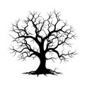Vector illustration. Bare tree silhouette without barren leaves dead no scary black life. Hand drawn. Isolated on white Royalty Free Stock Photo