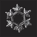 White snowflake on black background
