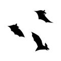 Vector illustration of bat in flight. Black flittermouse silhouette. Set of different shapes Royalty Free Stock Photo