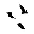 Vector illustration of bat in flight. Black flittermouse silhouette. Set of different shapes