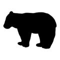 Vector illustration of a bear. Black silhouette on a white background. Royalty Free Stock Photo