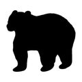 Vector illustration of a bear. Black silhouette on a white background. Royalty Free Stock Photo