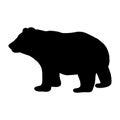 Vector illustration of a bear. Black silhouette on a white background. Royalty Free Stock Photo